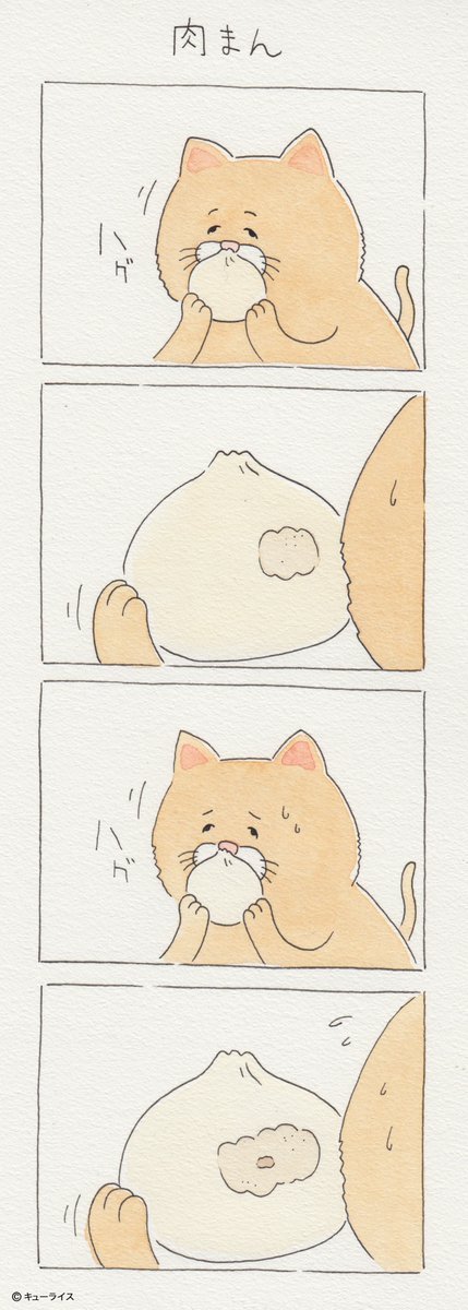 유감스러운 고양이 | 인스티즈