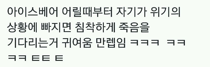 위베어베어스 아이스베어가 귀여움 만렙인 이유.twt | 인스티즈