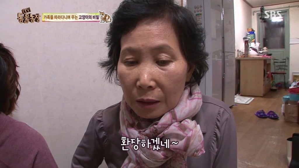 [동물농장] 존트 할말 다 하고 사는 수다쟁이 고양이 쪼롱이ㅋㅋㅋㅋ.jpg (스압) | 인스티즈