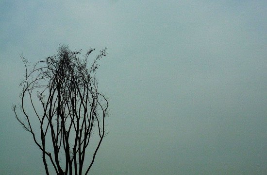 깊은 인상을 남기는 문학작품들의 첫문장 | 인스티즈