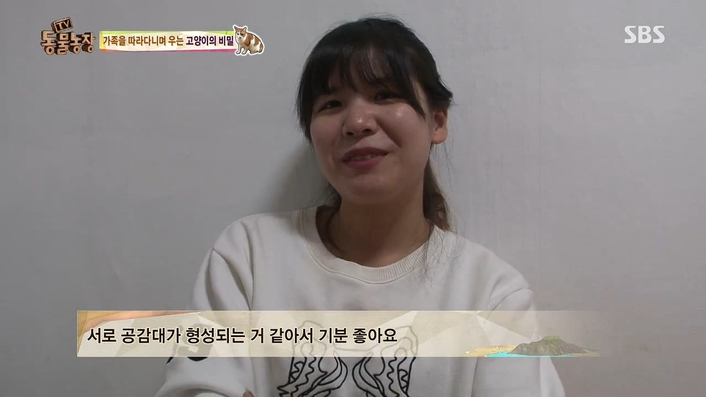 [동물농장] 존트 할말 다 하고 사는 수다쟁이 고양이 쪼롱이ㅋㅋㅋㅋ.jpg (스압) | 인스티즈
