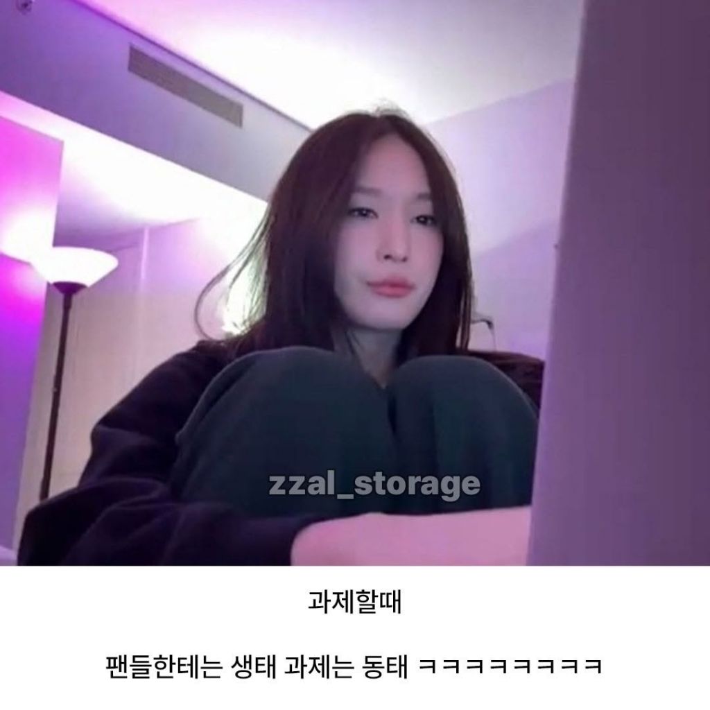애니 팬들보는 눈빛과 과제하는 눈빛 차이 | 인스티즈