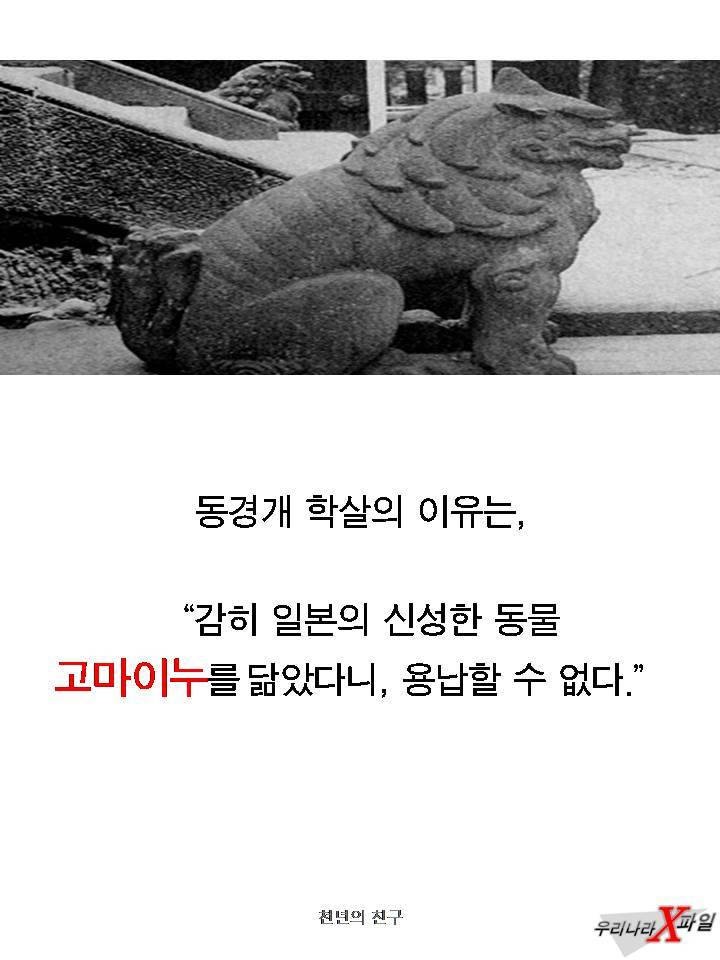 충격적인 개의 실체 ㄷㄷㄷㄷㄷ.JPG | 인스티즈