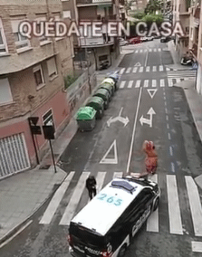 쓰레기 버리러 나갔던 스페인산 공룡의 최후... | 인스티즈