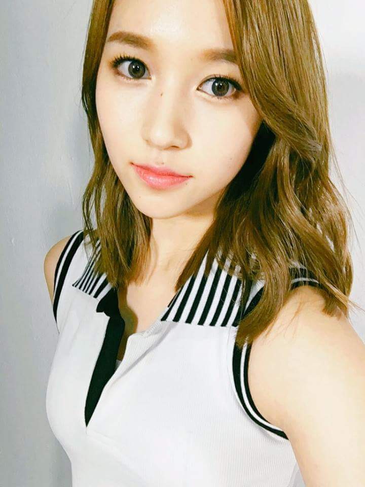 새벽의 트와이스 | 인스티즈