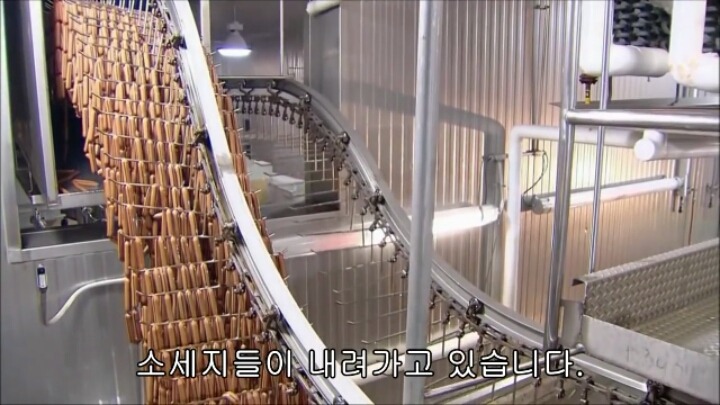 핫도그 소시지가 만들어지는 과정-2 | 인스티즈