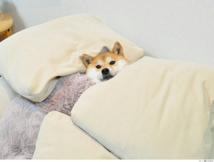 살아보니 부질없던것.JPG | 인스티즈