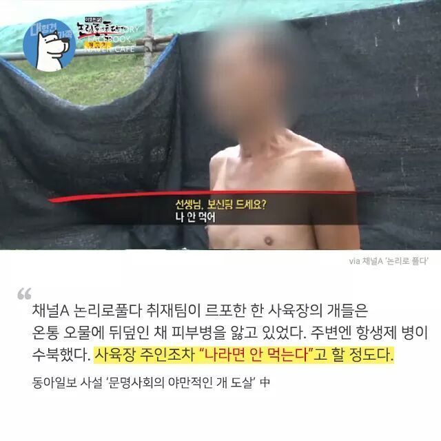 개고기를 먹지말아야 하는 설득력이 있는 이유 | 인스티즈