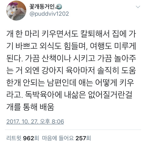 댕댕이만 키워봐도 육아의 어려움에 대해 깨닫게 된다.twt | 인스티즈