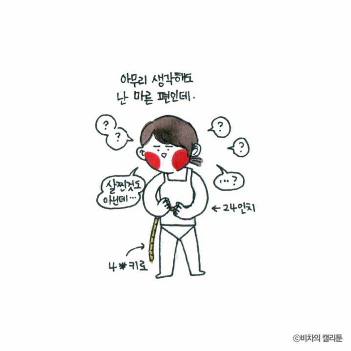 [비차의캘리툰] 프리사이즈가 아니잖아 | 인스티즈