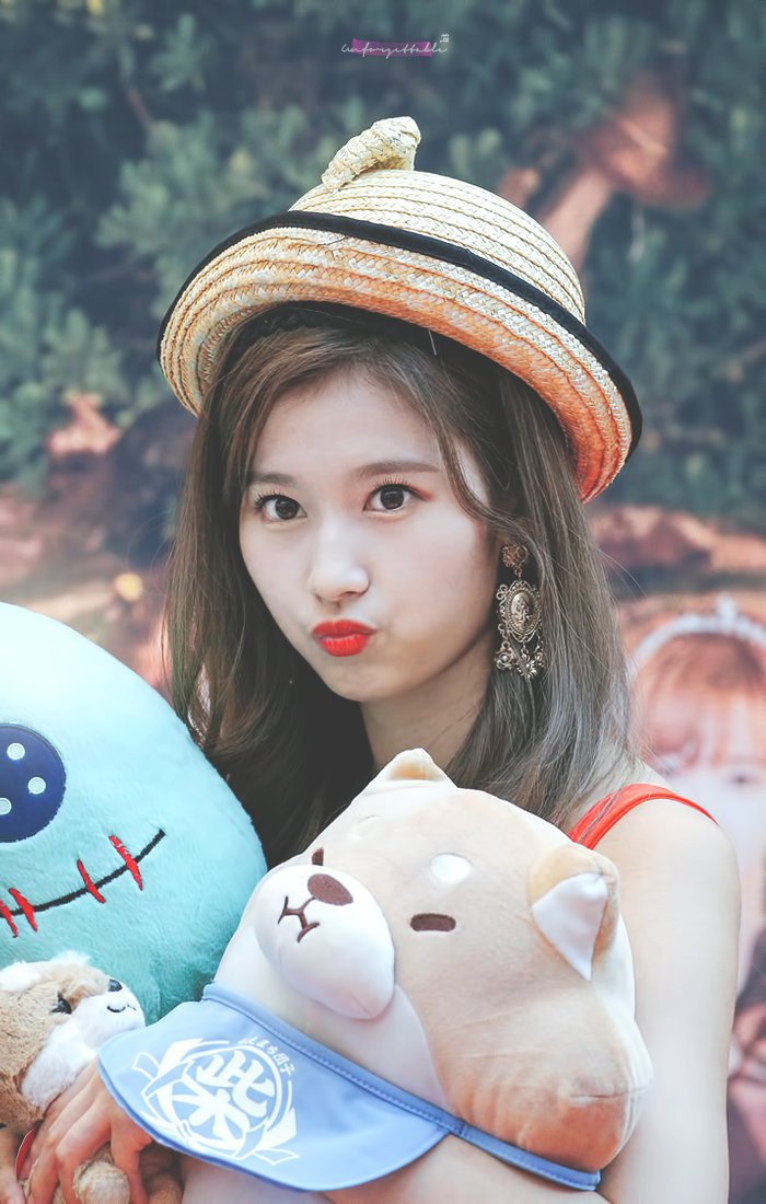 혹시 사나는 좋아하세요? | 인스티즈