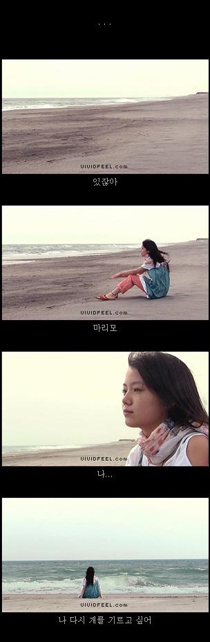 개의 일생 | 인스티즈
