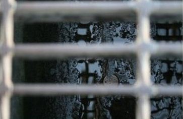 보아가 일본 블로그 방문자 1위하던 시절 올린 글들과 사진 | 인스티즈