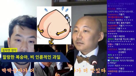 저세상 토론 복숭아 딱딱한거 vs 물렁한거 어느게 맛있나 | 인스티즈