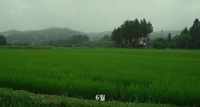 오리를 좋아하는 소녀.jpg | 인스티즈