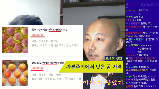 저세상 토론 복숭아 딱딱한거 vs 물렁한거 어느게 맛있나 | 인스티즈