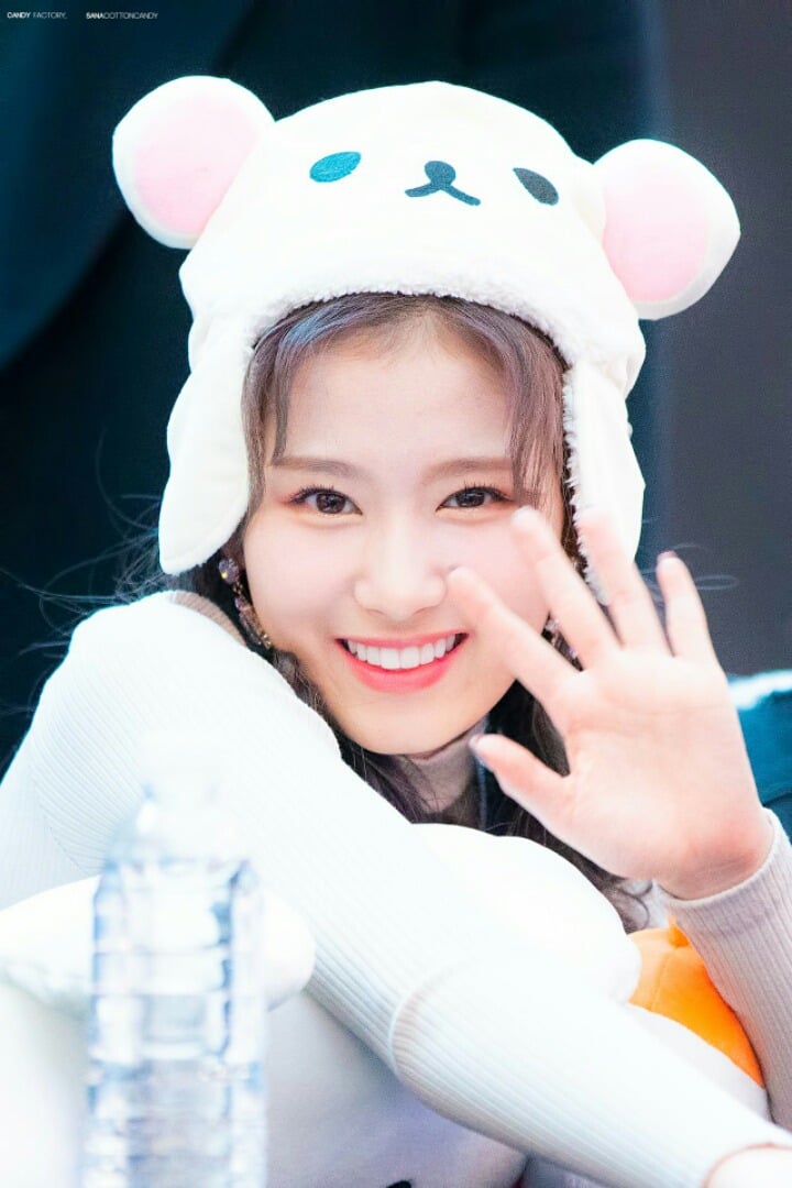혹시 사나는 좋아하세요? | 인스티즈