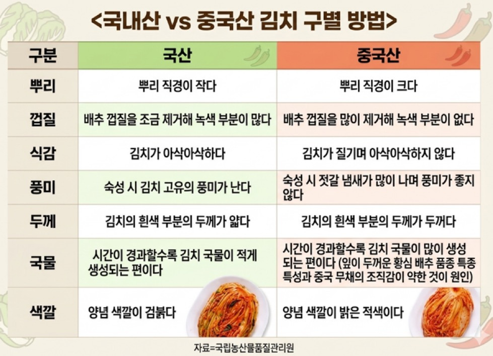 가짜김치 | 인스티즈