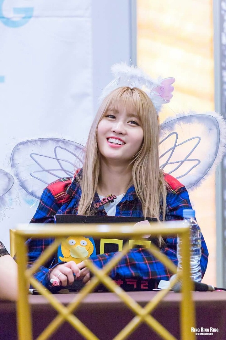 새벽의 트와이스 | 인스티즈