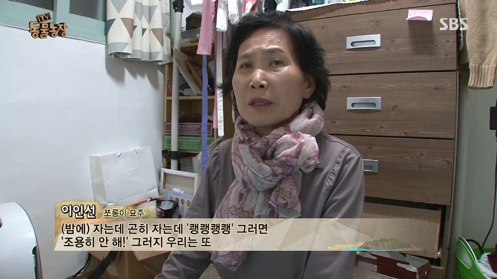 [동물농장] 존트 할말 다 하고 사는 수다쟁이 고양이 쪼롱이ㅋㅋㅋㅋ.jpg | 인스티즈