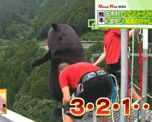 쿠마몬 떡방아 그이후.gif | 인스티즈