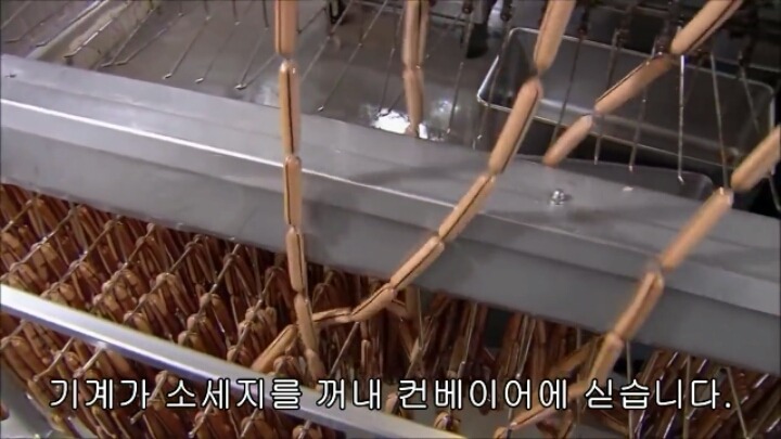 핫도그 소시지가 만들어지는 과정-2 | 인스티즈