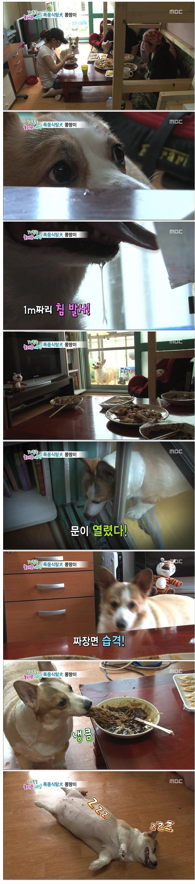 어메이징 짜장면 도둑 | 인스티즈
