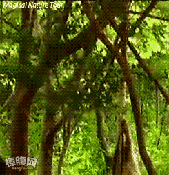 목숨 걸고 치는 장난이 스릴도 만점.gif | 인스티즈