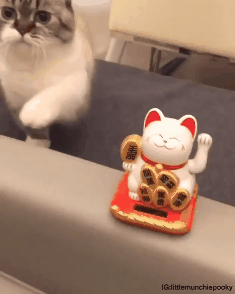 야 이게 뭐니.gif | 인스티즈