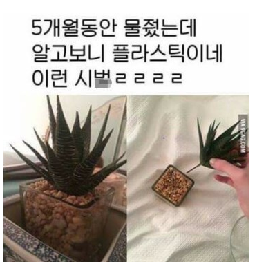 내가 널 어떻게 키웠는데!!!!!.jpg | 인스티즈