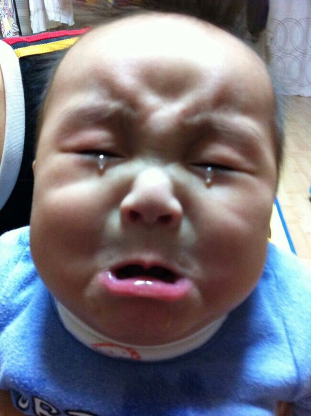 타요버스 첫 사고장면 | 인스티즈