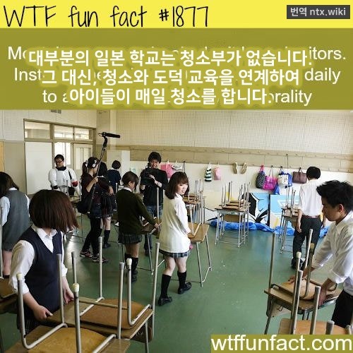 서양에서 기겁하는 아시아 문화 | 인스티즈