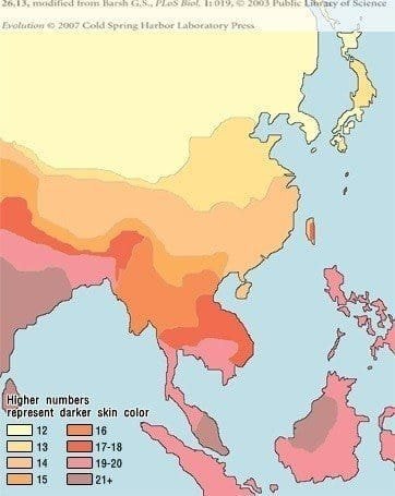 직찍 사진에 자꾸 피부색으로 지적이 들어오자 빡친 어느 홈마 | 인스티즈