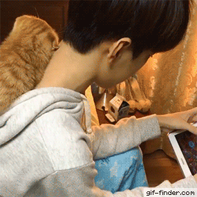 집사야 나랑 자자~ | 인스티즈
