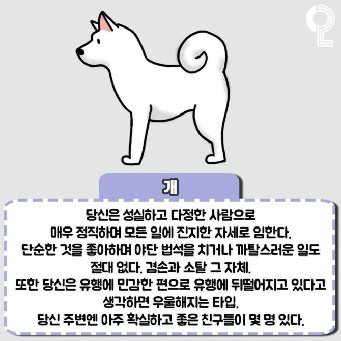 동물로 보는 성격테스트 | 인스티즈