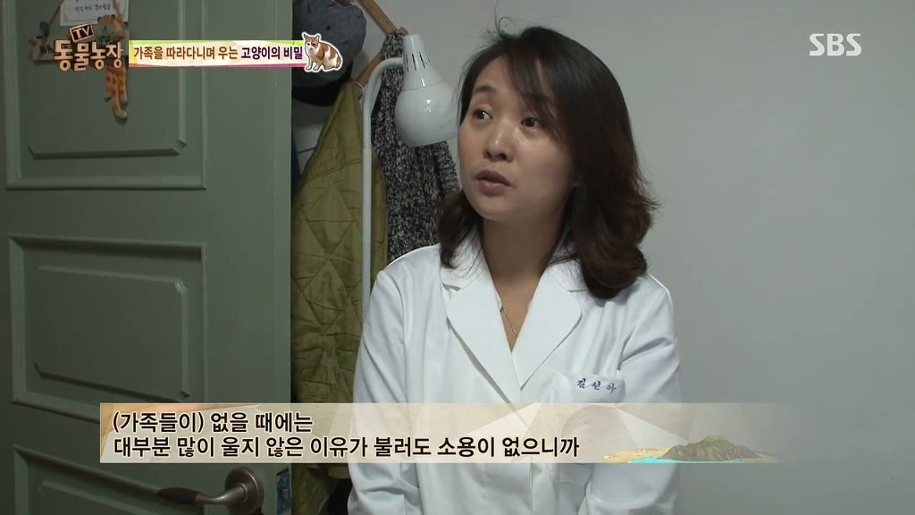 [동물농장] 존트 할말 다 하고 사는 수다쟁이 고양이 쪼롱이ㅋㅋㅋㅋ.jpg | 인스티즈