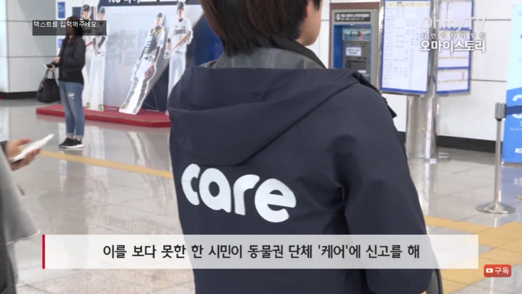 마산 애니멀 호더에게서 구조한 50여마리의 고양이들에게 손길을 내밀어주세요! 곧 쉼터가 폐쇄되어 아이들이 갈 곳이 없습니다 | 인스티즈