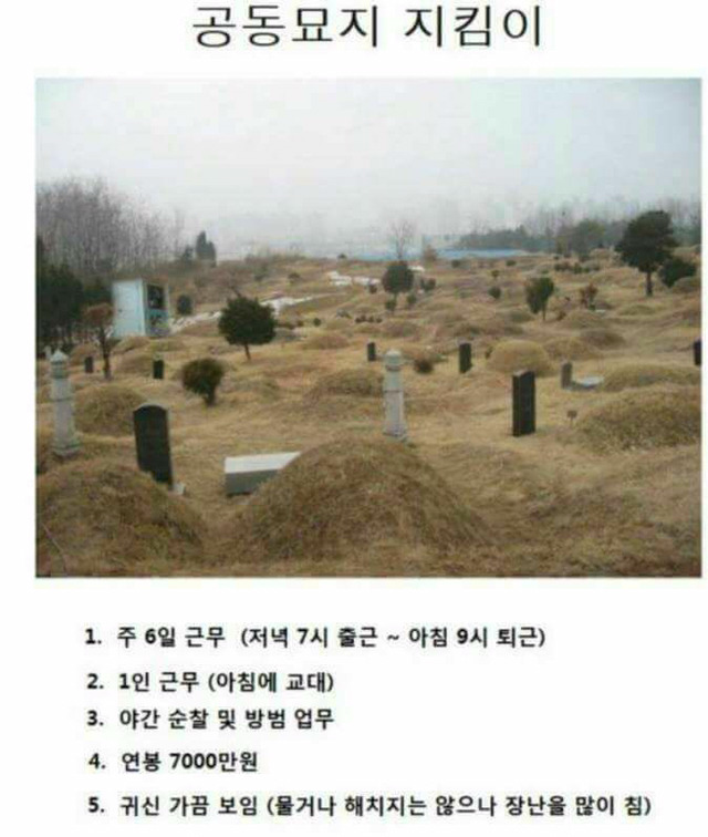 꿀알바 한다 vs 안 한다 | 인스티즈