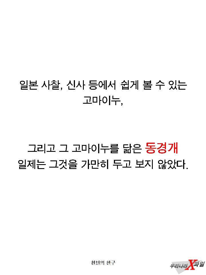 충격적인 개의 실체 ㄷㄷㄷㄷㄷ.JPG | 인스티즈