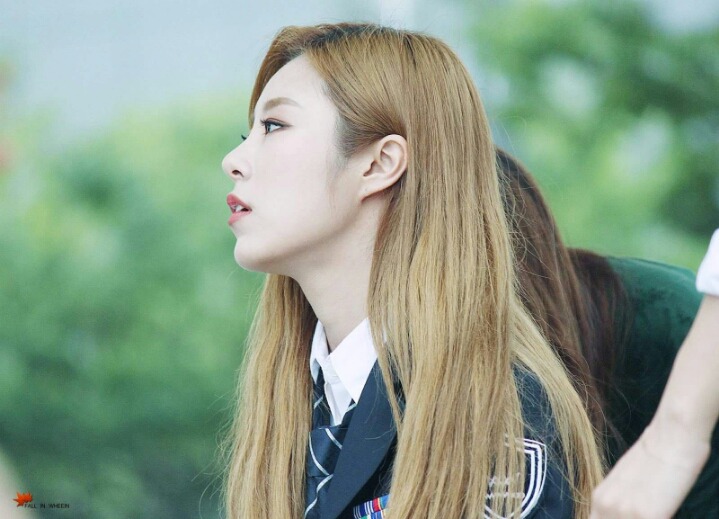 마마무 휘인 랜덤짤 | 인스티즈