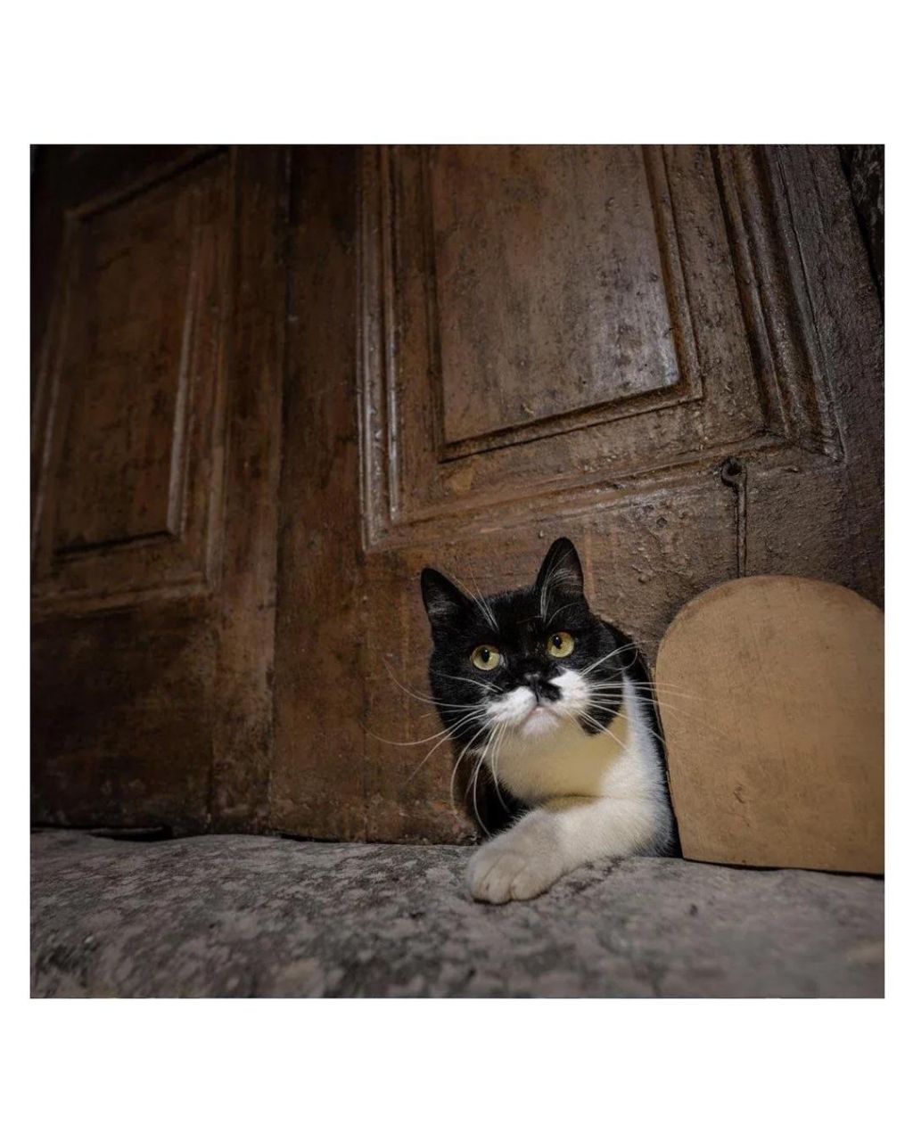 튀르키예에서 복원한 궁전 기능🏰 | 인스티즈