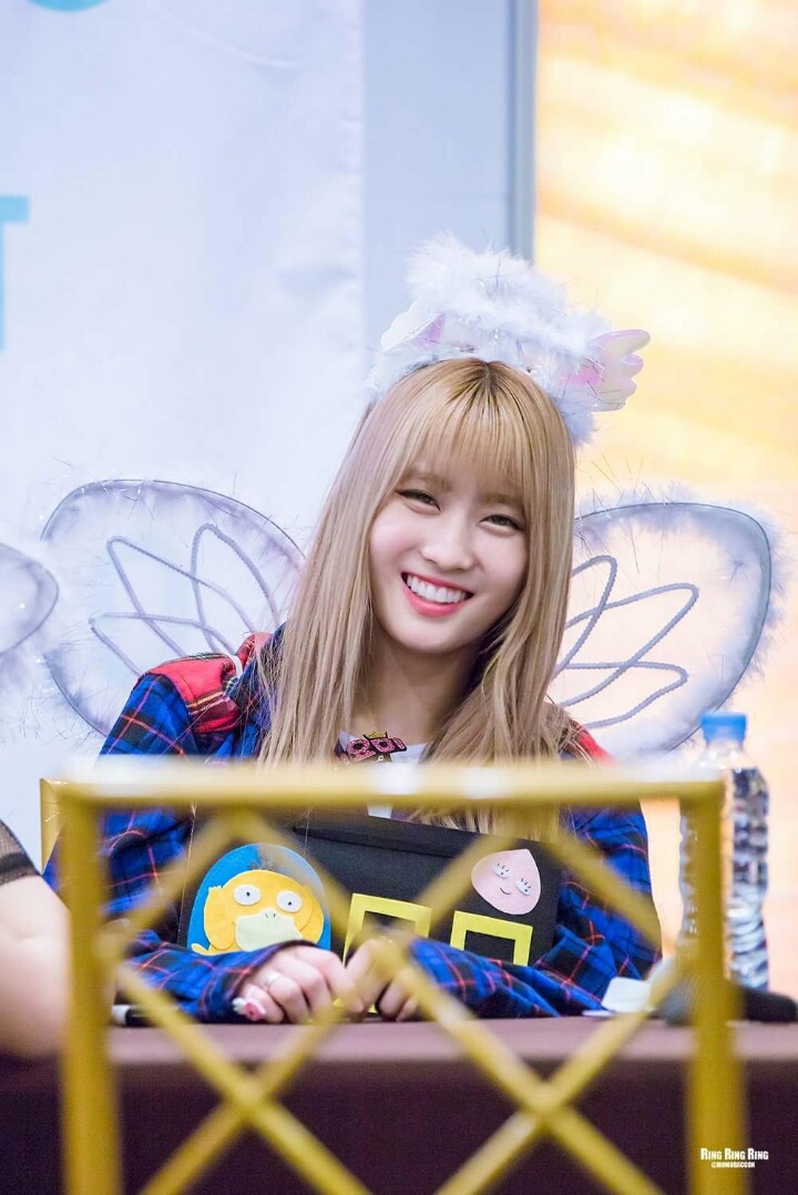 새벽의 트와이스 | 인스티즈