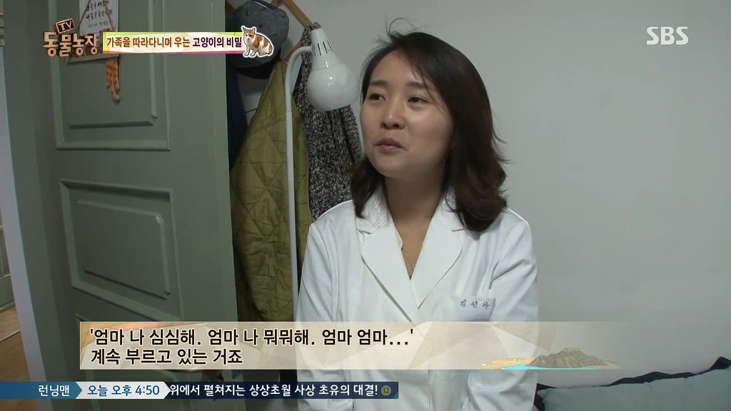 [동물농장] 존트 할말 다 하고 사는 수다쟁이 고양이 쪼롱이ㅋㅋㅋㅋ.jpg (스압) | 인스티즈