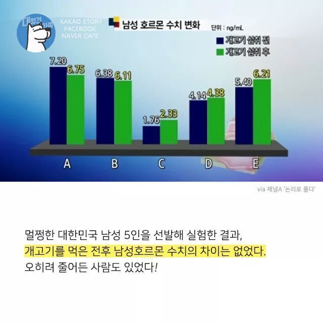개고기를 먹지말아야 하는 설득력이 있는 이유 | 인스티즈