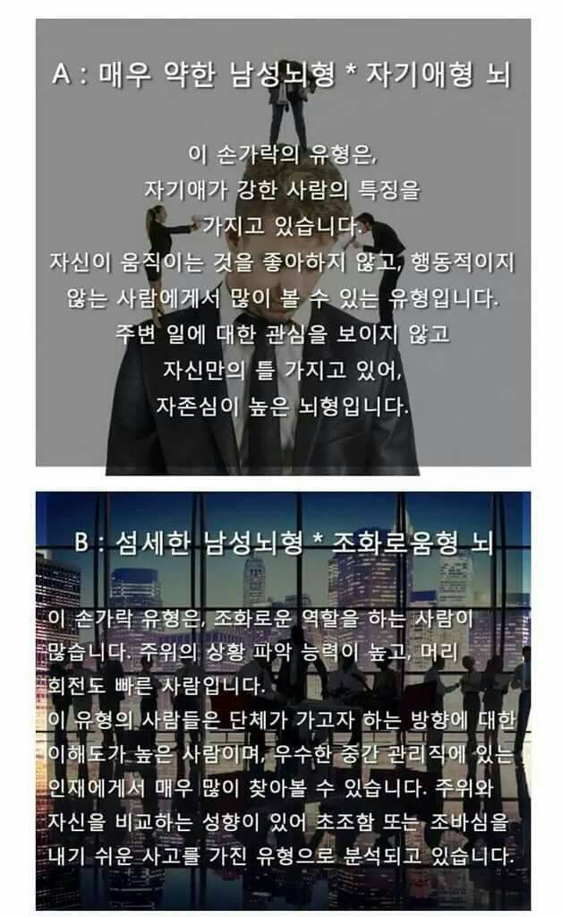 손가락 길이로 보는 뇌 유형.jpg | 인스티즈
