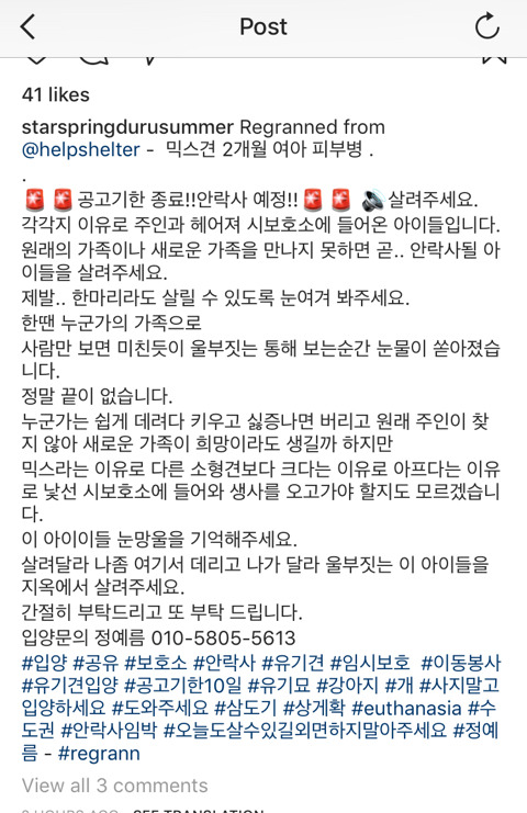 안락사확정된 아이들 보고가주라 ㅠㅠ 부탁해 | 인스티즈