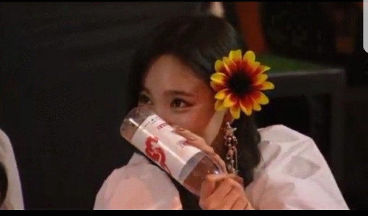 아이유를 좋아하는 트와이스 나연 .gif | 인스티즈