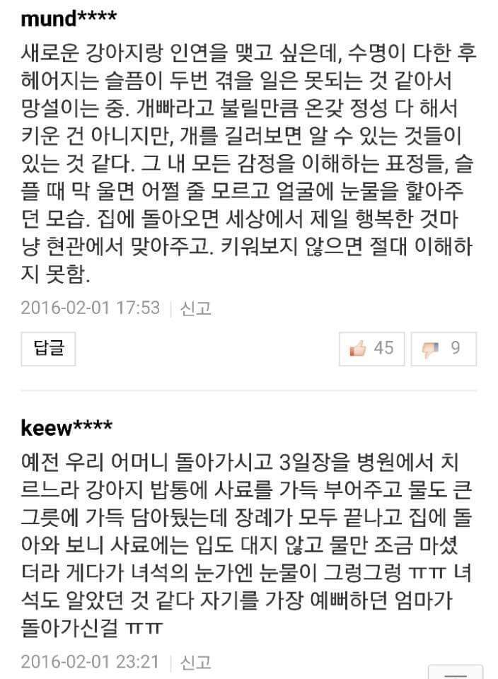반려견들과 이별을 겪어본 사람들의 이야기 | 인스티즈