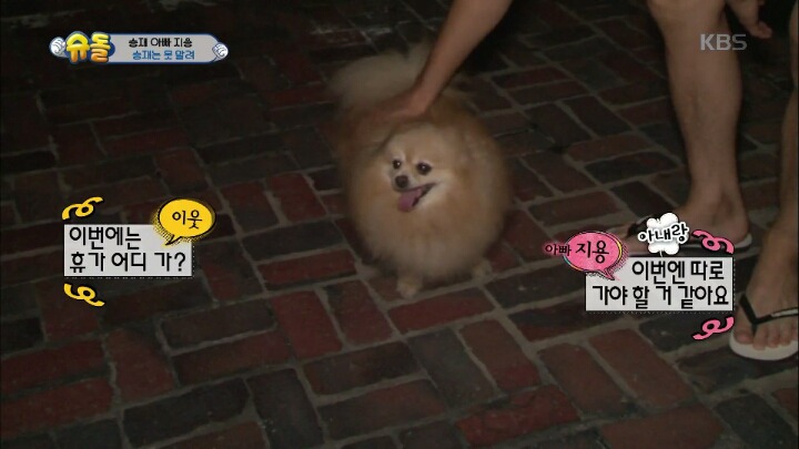 아빠의 중요 파일이 담긴 죽은 물고기를 어항에 넣어준 승재.jpg | 인스티즈