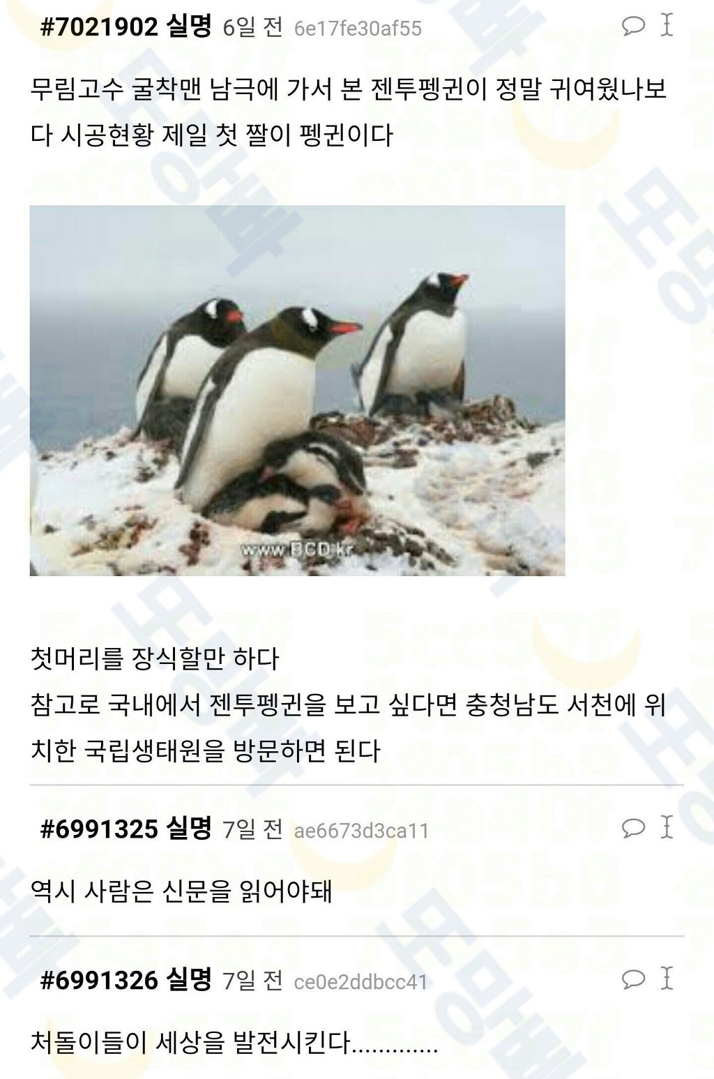 남극 세종기지 지을 때 일화 가슴 두근거린다 | 인스티즈